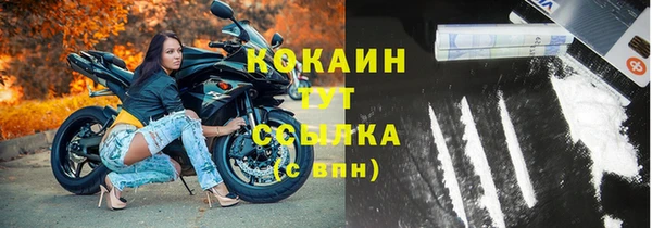 спиды Михайлов