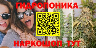 ALPHA PVP Вышний Волочёк